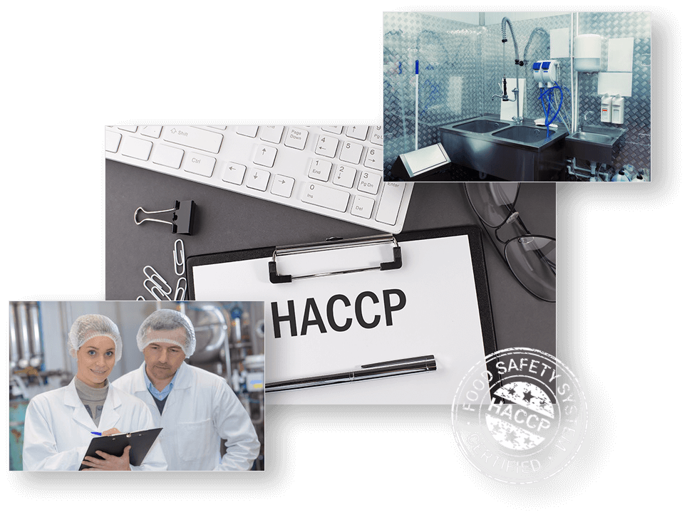 Wdrożenia HACCP